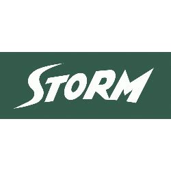 Seattle Storm Wordmark Logo | SPORTS LOGO HISTORY