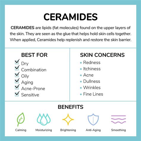 Ingredient 101: Ceramides | Skin facts, Natural skin care, Better skin