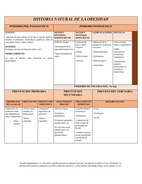Historia Natural De La Obesidad Obesidad Historia Natural Medicina