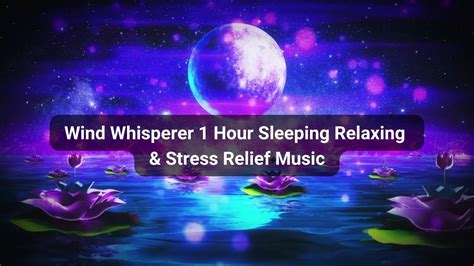 Wind Whisperer Hour Sleeping Relaxing Stress Relief Music Wind