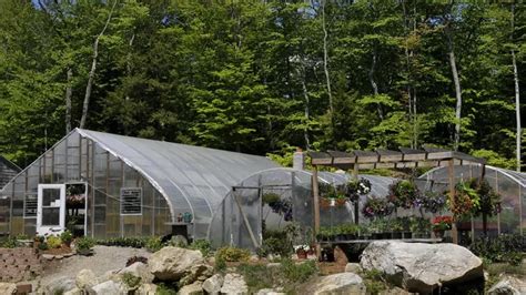 How To Use A Greenhouse Essential Tips For Maximizing Growth Space