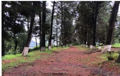 Fotos De Vendo Lote O Terreno En Parcelamiento Santa Rosa Km