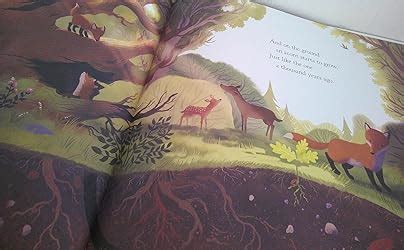 The Oak Tree: a dazzling picture book, by Julia Donaldson, author of ...