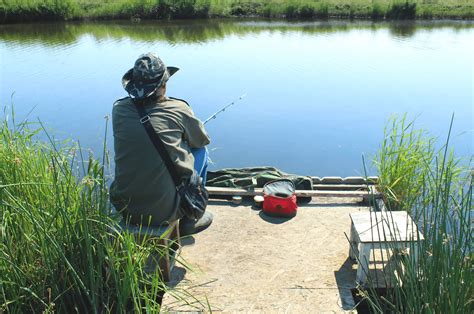 La P Che En T Quels Poissons Peut On Capturer Le Chasseur Fran Ais