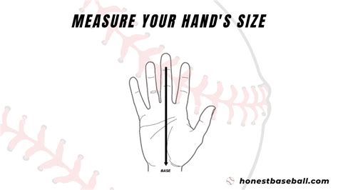 What Size Baseball Glove Do I Need? Based on Positions and Ages ...