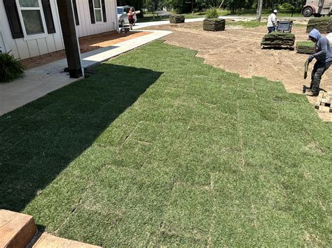 Why Houston Texas Homeowners Love Zoysia Grass Top Benefits The Grass Store