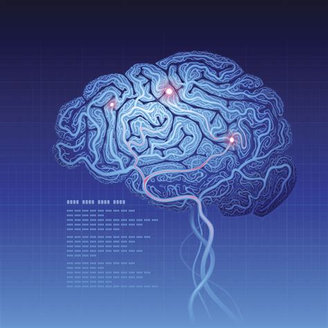 3d Brain Map New Bigbrain Atlas Called Most Detailed Ever Created