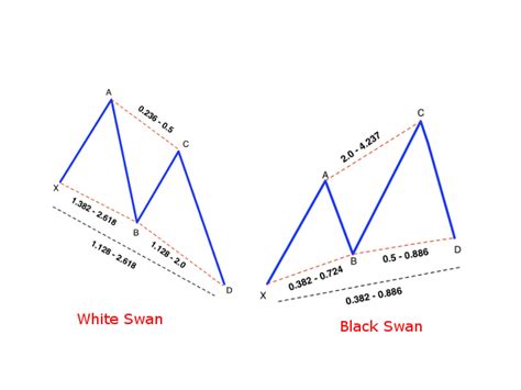 Black Swan Harmonic Pattern