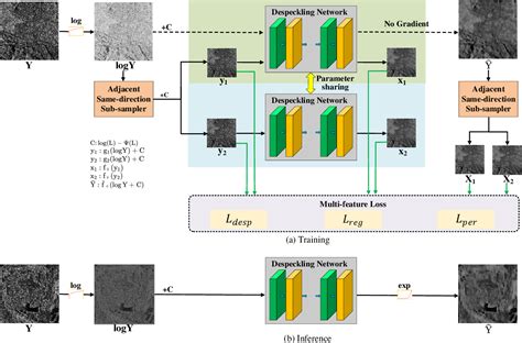 A Self Supervised SAR Image Despeckling Strategy Based On Parameter