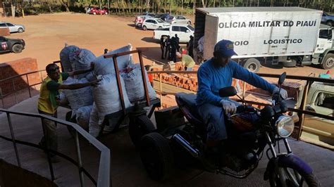 Delegado Estima Preju Zo De R Milh Es Em Ro A De Maconha Pol Cia