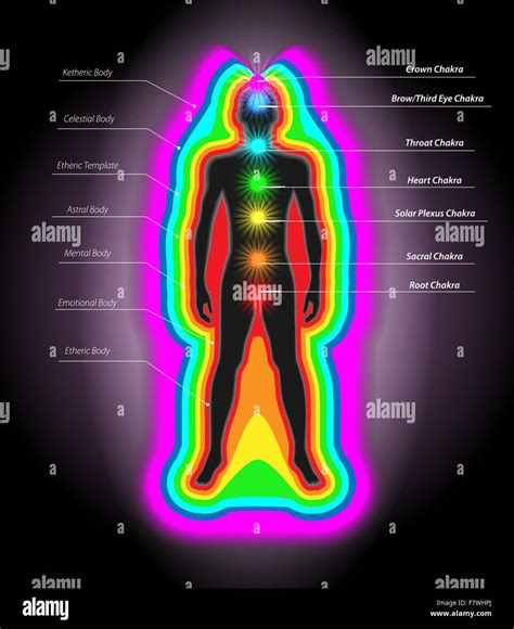 Auras And Chakras Stock Vector Image Art Alamy