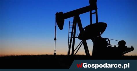 Rosja I Kraje Opec Tn Wydobycie Ropy O Proc Wgospodarce Pl