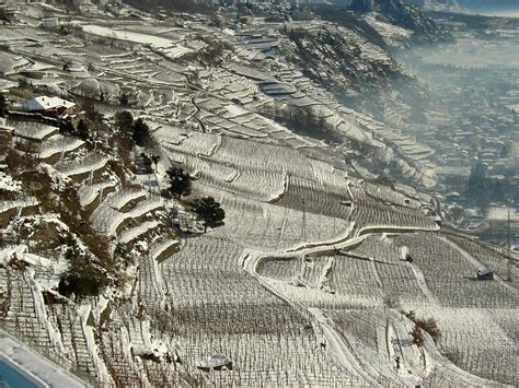 Valtellina wine tour discover mountain Nebbiolo