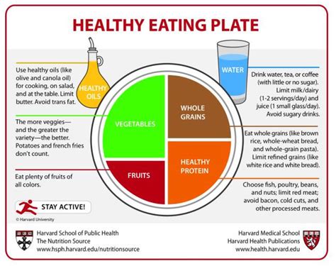 El Plato De Harvard Para Comer De Manera Saludable