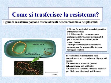 La Resistenza Agli Antibiotici Ppt Scaricare