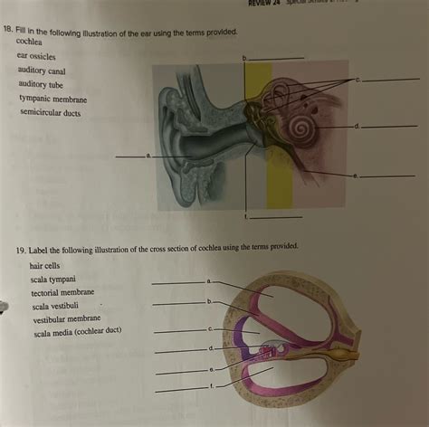 Solved Help Me Please Review 24 18 Fill In The Following