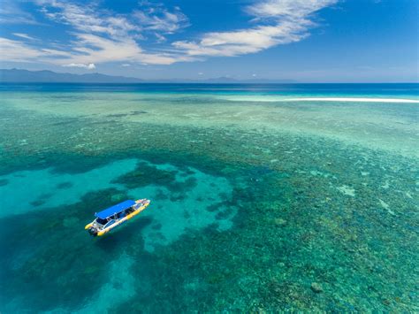 Morning Ocean Safari Great Barrier Reef Adventure Australia Activities In Australia