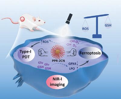 Single Component Organic Photosensitizer With Nir I Emission Realizing