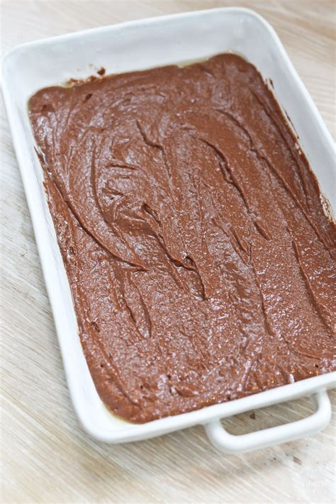 Delicious Healthy Cake Like Brownies Recipe Tidbits