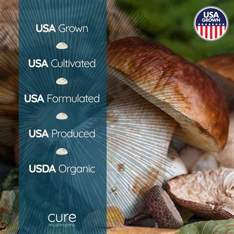 Turkey Tail Gummies - RYZE Superfoods