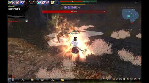 Vindictus Staff Evie Chapter1 Episode1 Garden Guardian YouTube