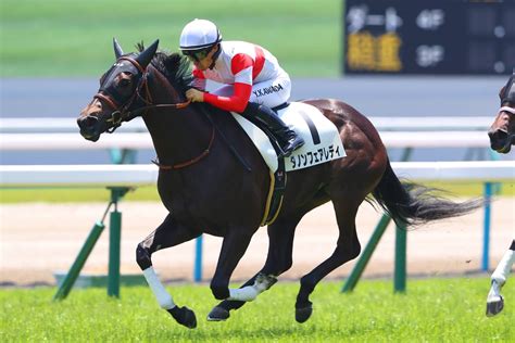 【新馬京都5r】新馬戦1番星はダノンフェアレディキズナ産駒 競馬ニュースなら競馬のおはなし