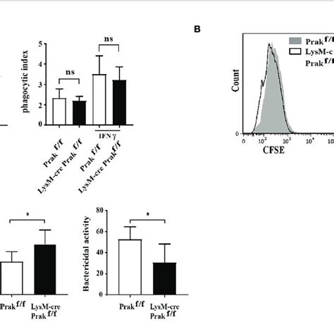 The Phagocytic And Bactericidal Activities Of Prak Deficient