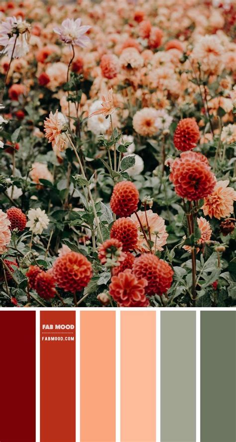 Red Peach And Sage Color Scheme Color Palette 49 Sage Color