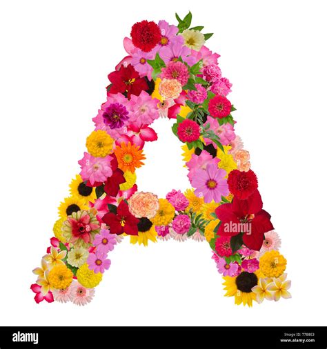 Letter A Alphabet With Flower ABC Concept Type As Logo Isolated On