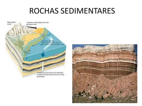 Ppt Estruturas Geol Gicas Do Brasil Powerpoint Presentation Free