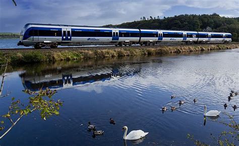 Translink extends CAF train maintenance contract - International Railway Journal