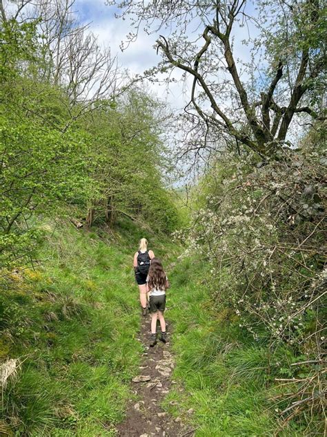 Triple Trig Walk Soles Hill Grindon Moor And Martins Low 8 Miles