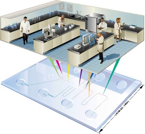 Loc Pcr Lab On Chip Pcr