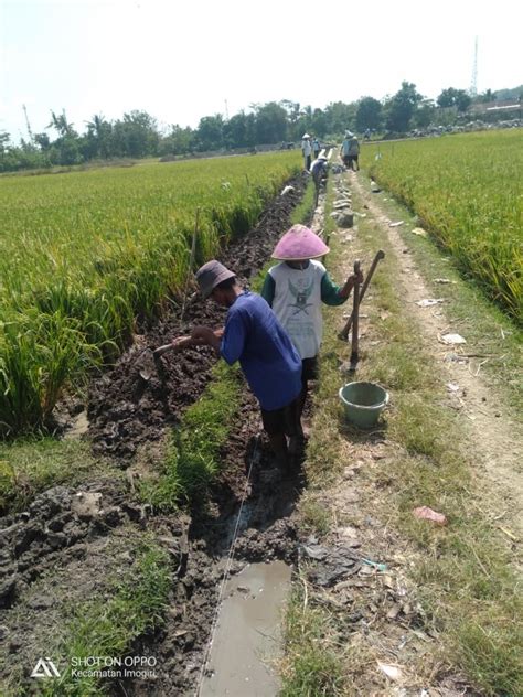 PEMBANGUNAN SALURAN IRIGASI Website Kalurahan Girirejo