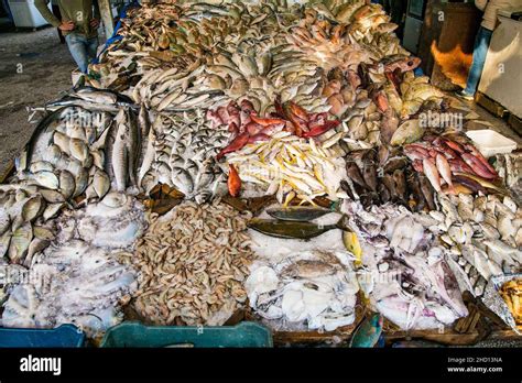 Different Fish On Open Fish Market In Hurghada City Egypt Stock Photo