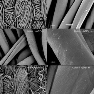 Scanning electron microscopy (SEM) images of the polyester fabrics ...