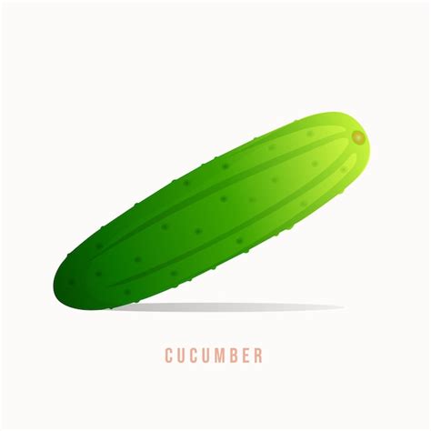 Premium Vector Cucumber Modern Style Vector Illustration