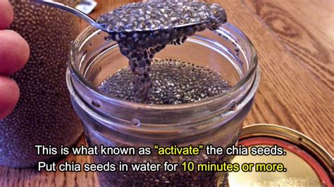 How To Use Chia Seeds For Weight Loss Chia Seeds Drinks Weight Loss Youtube