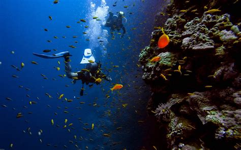 Best Place For Scuba Diving In India