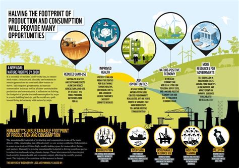 What Is The Cop 15 Post 2020 Global Biodiversity Framework World