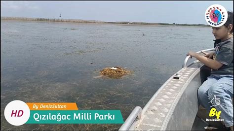Qızılağac Milli Parkı 26.05.2024 - YouTube