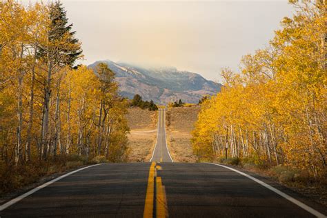 Monitor Pass Visit Mono County