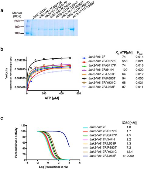 Allosteric Ruxolitinib Resistant Variants Activate The Enzymatic