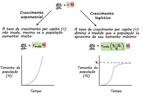 Os Profissionais Que Buscam Um Crescimento Exponencial LIBRAIN