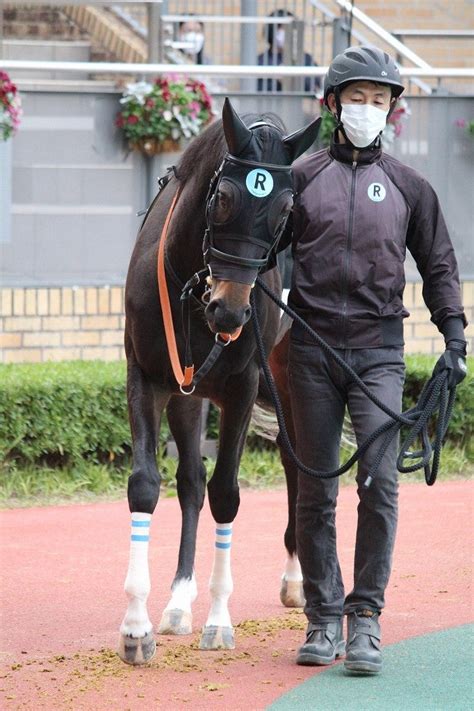 2022年12月4日中京9r「こうやまき賞」馬編⑦～⑫番 まきろんの「多趣味でゴメンな～」ブログ