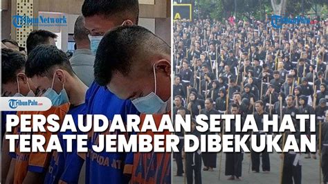 Persaudaraan Setia Hati Terate Di Jember Dibekukan Buntut Pesilatnya