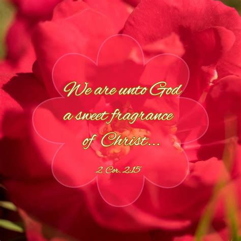 Sweet Fragrance Of Christ By Lois Macdonald