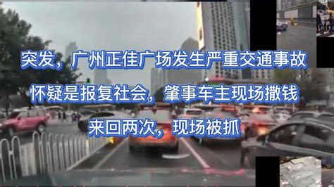 突发，1月11日，广州正佳广场发生严重交通事故，肇事车主现场撒钱，来回两次碾压，怀疑是报复社会。车主现成被抓。 Youtube