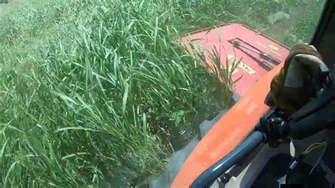 Just Mowing Drum Mower In Thick Hay Zetor Ztr 185 And Kubota M7060