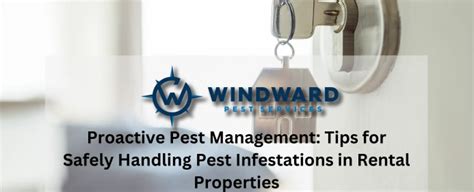 Proactive Pest Management Tips For Safely Handling Pest Infestations